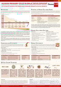 2019-06_Human Primary Cells in Drug Development_Thumbnail 2019-06_Human Primary Cells in Drug Development_Thumbnail