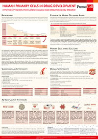 2019-06_Human Primary Cells in Drug Development_Thumbnail