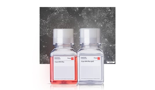 Cryo-SFM Plus_Homepage_Thumbnail_WBG_904x525