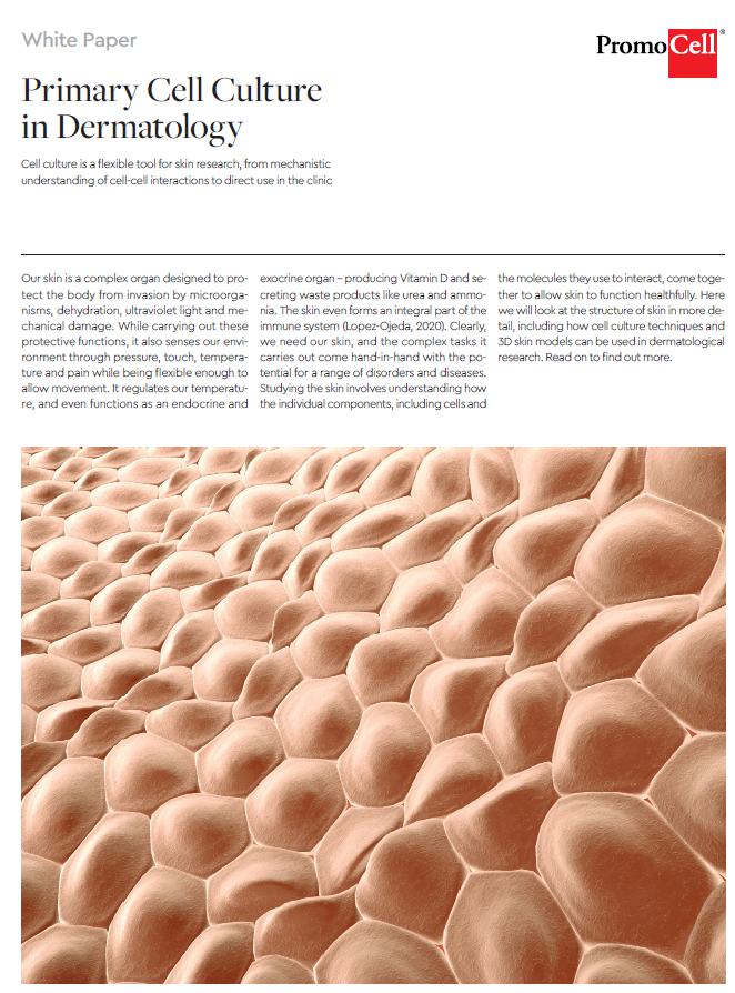 Dermatology-WhitePaper-PromoCell Dermatology-WhitePaper-PromoCell