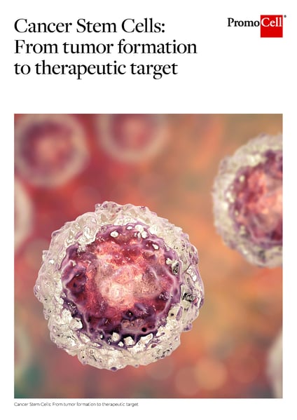 PromoCell_eBook_Cancer-Stem-Cells_Thumbnail PromoCell_eBook_Cancer-Stem-Cells_Thumbnail