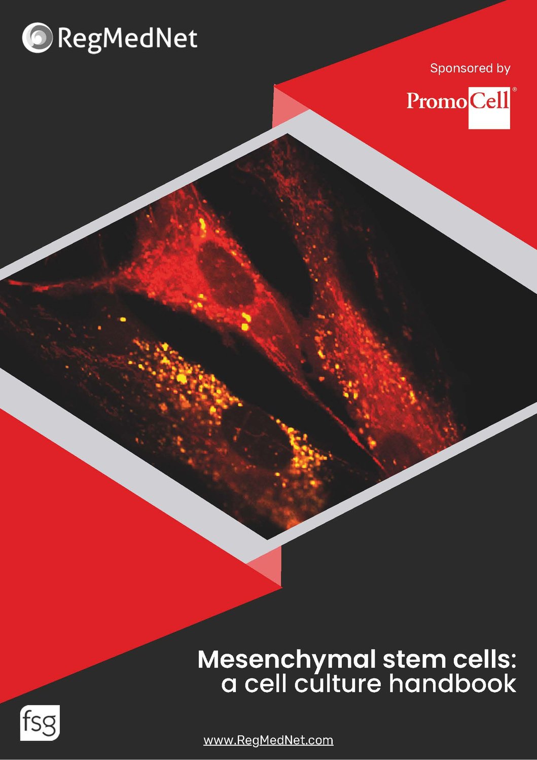 MSC cell culture handbook