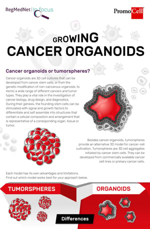 infographic poster about cancer organoids 